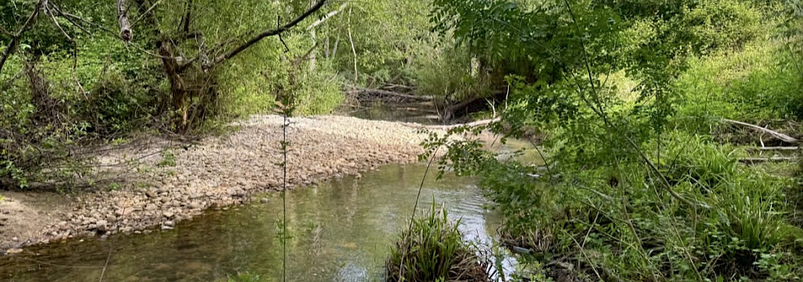 Ribeira do Alcolobre: caminhada de reconexão com a natureza