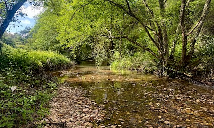 Ribeira do Alcolobre: caminhada de reconexão com a natureza