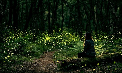 Caminhar com pirilampos no rio da Mula - Serra de Sintra 1ª edição