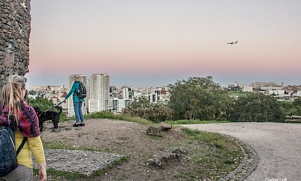 Caminhada no coração do Parque Florestal de Monsanto