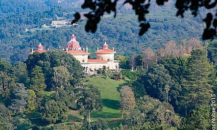 Pelos bosques mágicos de Monserrate
