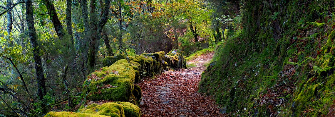 Travessia da Serra de Montemuro em Autonomia