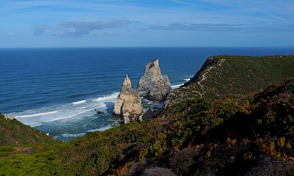 Pelas falésias do Cabo da Roca
