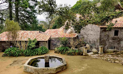 Caminhada por Colares e Penedo + visita ao Convento dos Capuchos 2º edição