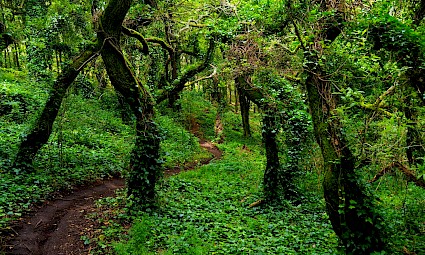 Travessia da Serra de Sintra