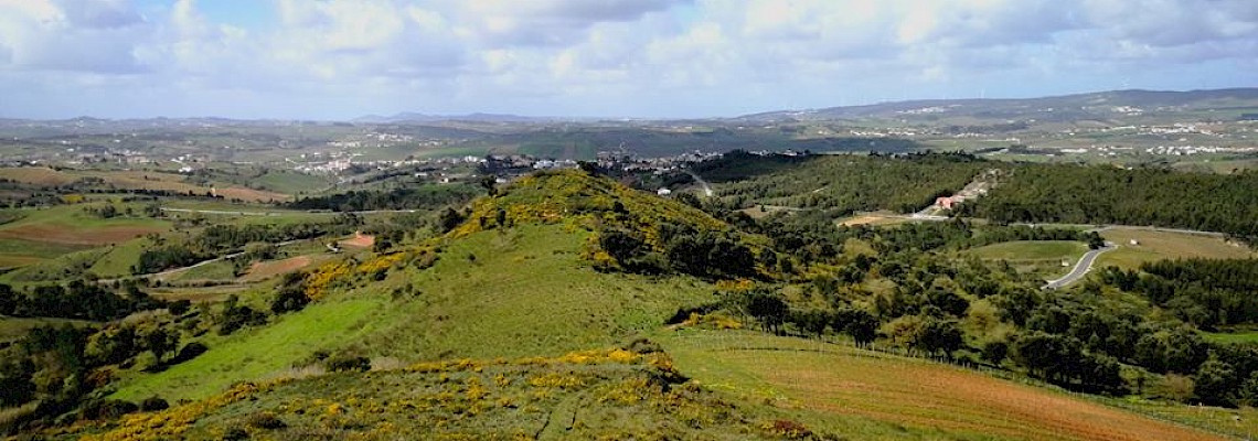 À descoberta da Charneca de Ota - Subida ao Monte Redondo