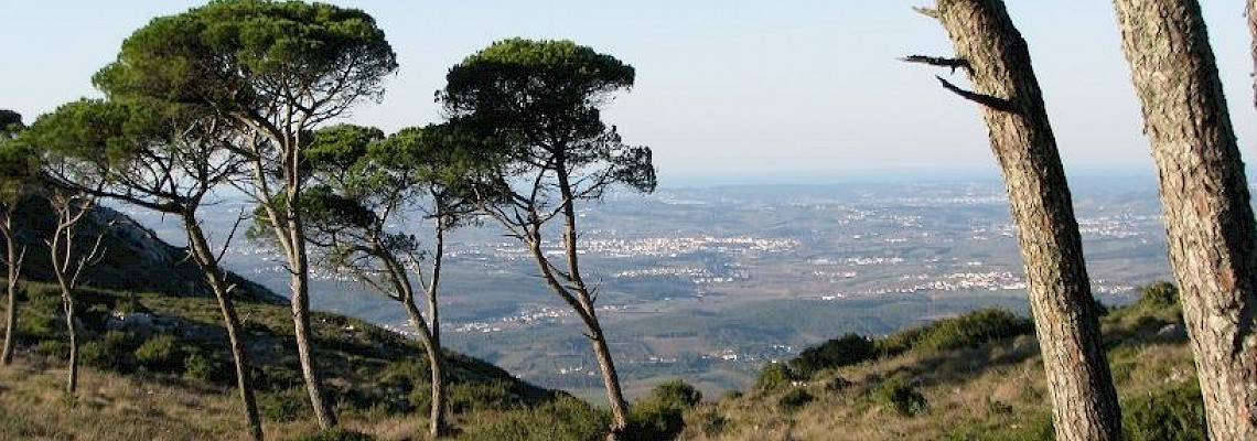 Varanda da Estremadura/Serra de Montejunto