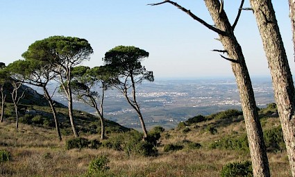 Varanda da Estremadura/Serra de Montejunto