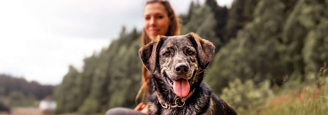 Dog Trekking nos Capuchos  - Serra de Sintra