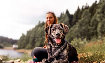 Dog Trekking nos Capuchos  - Serra de Sintra