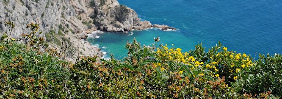 À descoberta das Marmitas de Gigante - Arrábida