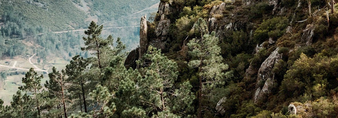 Marcha de Montanha na Serra do Marão