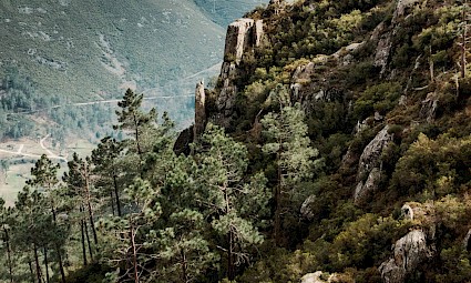 Marcha de Montanha na Serra do Marão