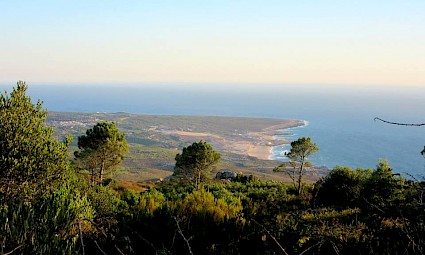 Caminhar e meditar /Serra de Sintra
