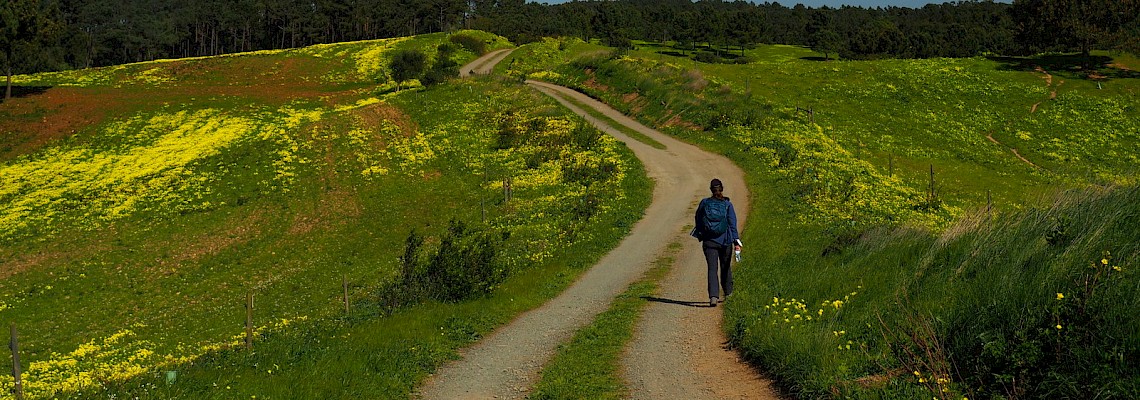 Caminhada de Pão Por Deus - Serra de Sintra