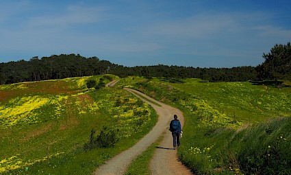 Caminhada de Pão Por Deus - Serra de Sintra