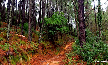 Rota das Quintas/Serra de Sintra