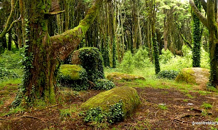 Caminhada em família no Bosque do Silêncio
