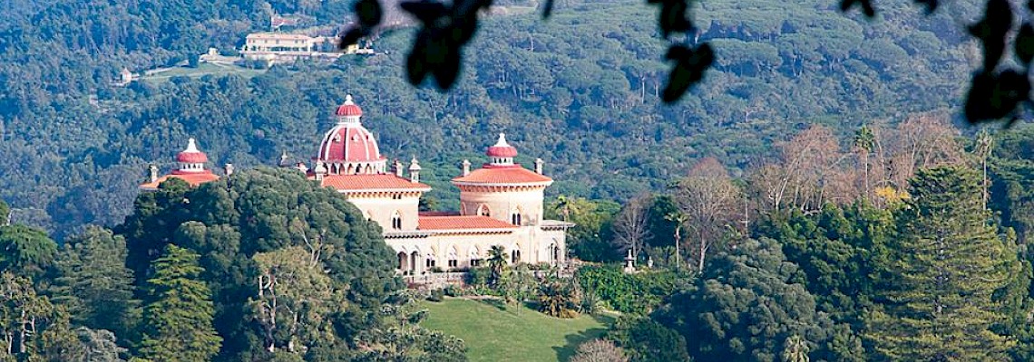 Caminhada em família pela Tapada de Monserrate