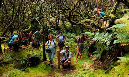 Terceira: à descoberta da Ilha Lilás