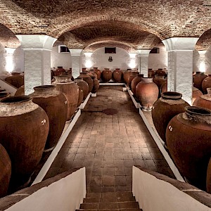 Vinho de Talha: uma tradição milenar para descobrir no Alentejo