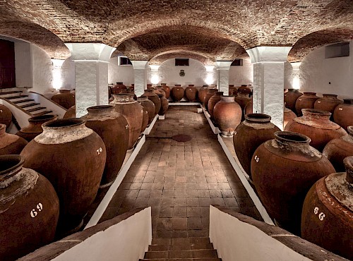 Vinho de Talha: uma tradição milenar para descobrir no Alentejo