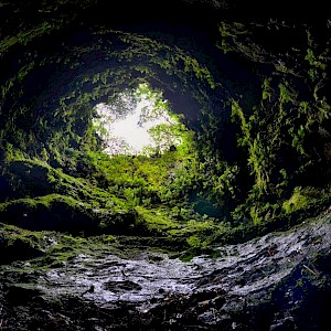 Algar do Carvão: uma viagem ao interior de um vulcão na ilha Terceira
