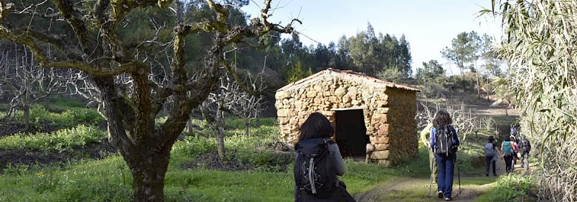 Sobral da Abelheira - Entre campos agrícolas