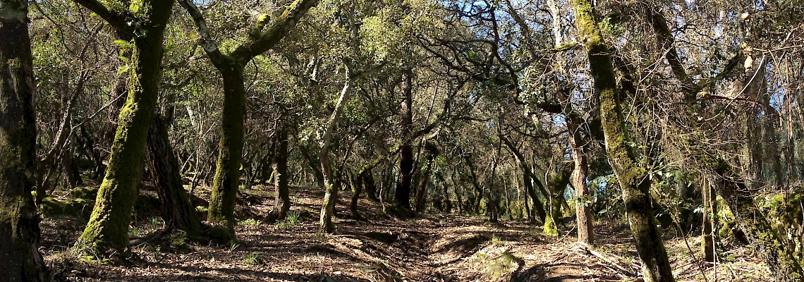 Cabeço de Montachique