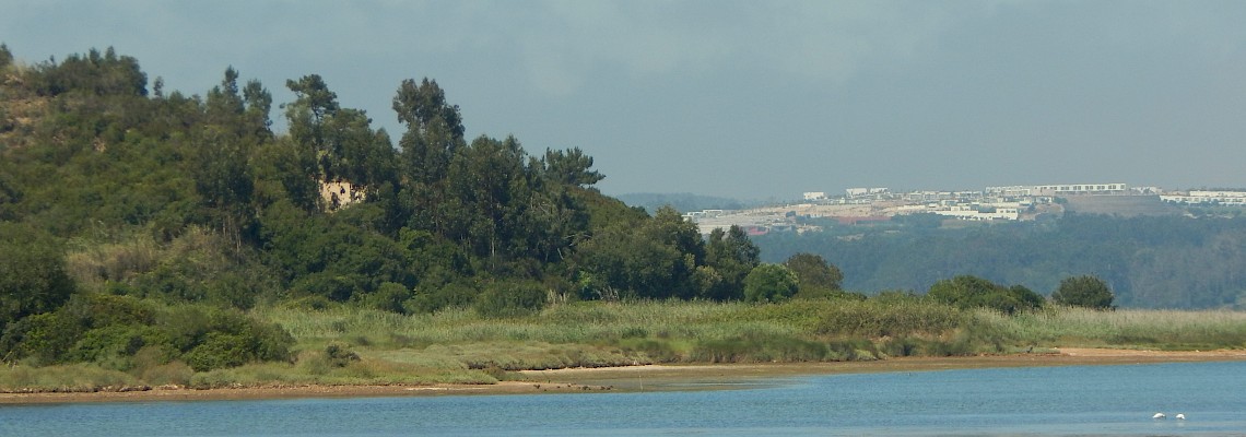 O Lado Selvagem da Lagoa de Óbidos