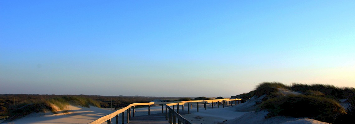 Entre as Praias de Mira e a Ria