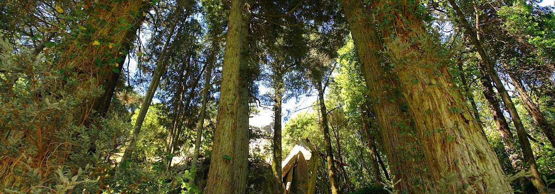 Trekking Sintra Romântica