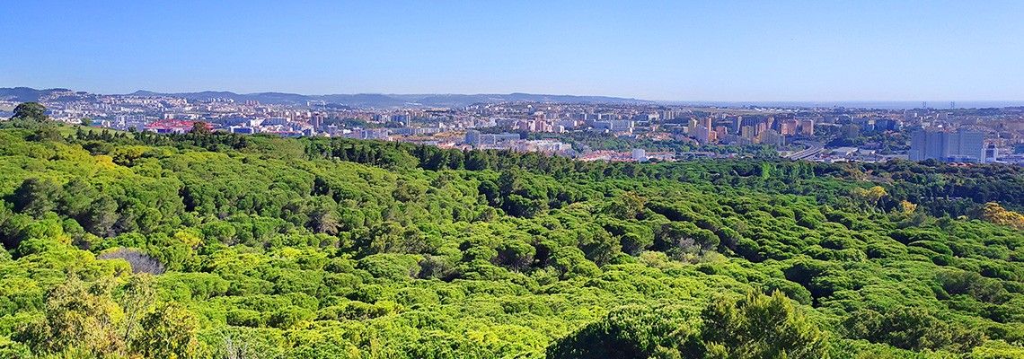 Monsanto: o pulmão verde de Lisboa