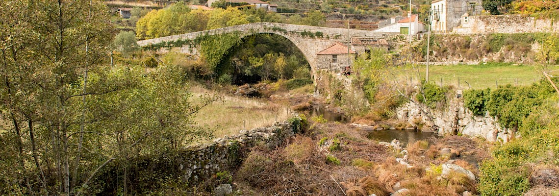 No caminho dos Monges/Tarouca