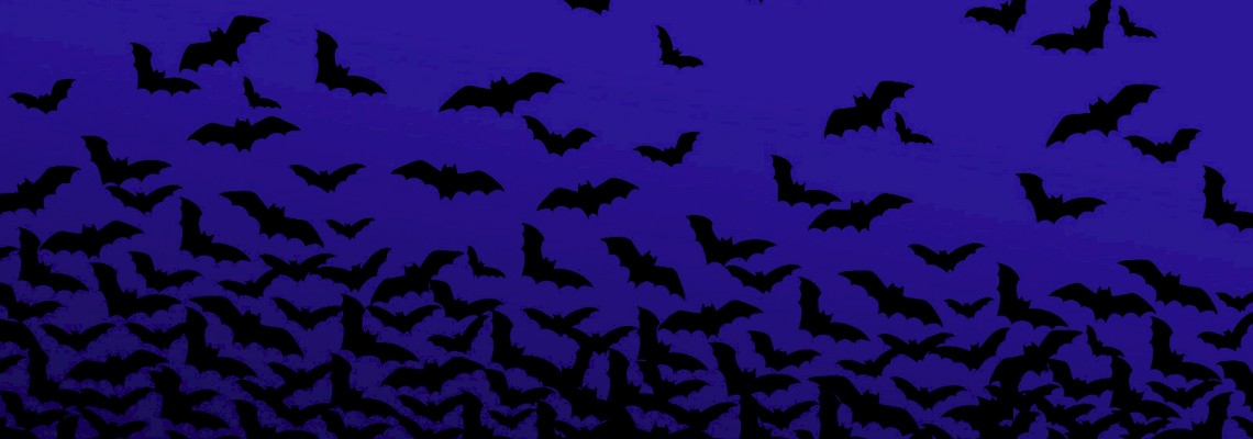 Noite dos Morcegos + Caminhada