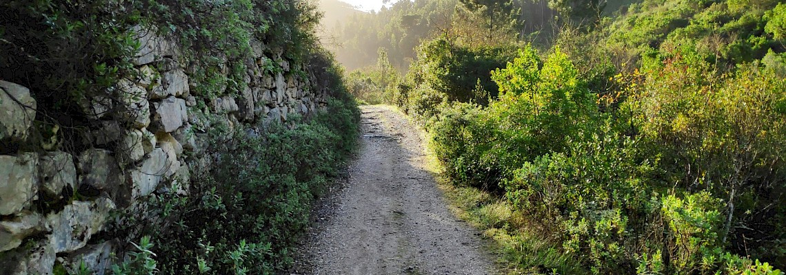 Senhora do Monte e Serra da Maunça
