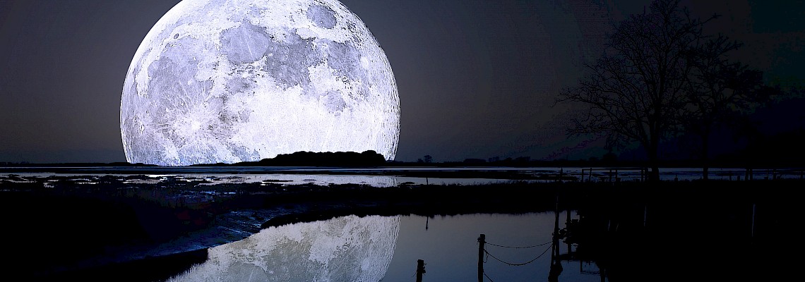 Caminhada de Lua Cheia na Lagoa de Óbidos